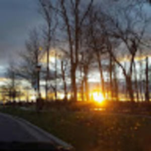 Meet your Posher, Albert